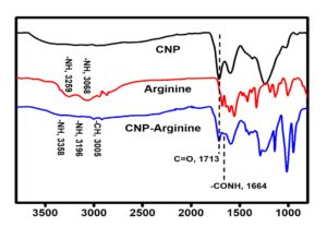 ATR(IR) of CNP Arginine in SiNON