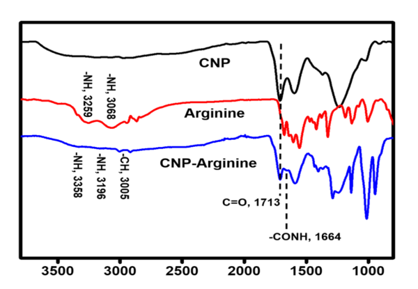 ATR(IR) of CNP Arginine in SiNON