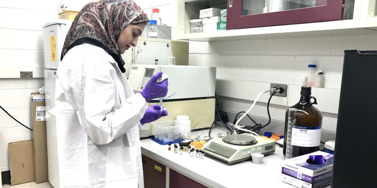 Afreen Allam working on the lab in SiNON