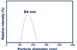 DLS of CNP in SiNON