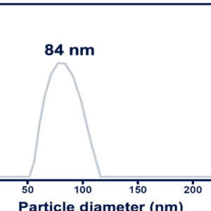 DLS of CNP in SiNON