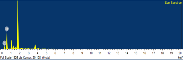 EDX Spectrum in SiNON