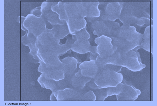 Electron Images in SiNON