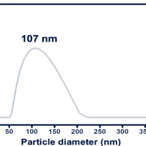 DLS of CNP - Arginine